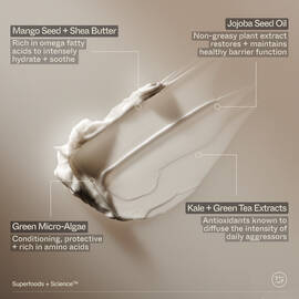 Superfood Hand + Body Lotion with Plant Butters