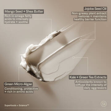 Superfood Hand + Body Lotion with Plant Butters