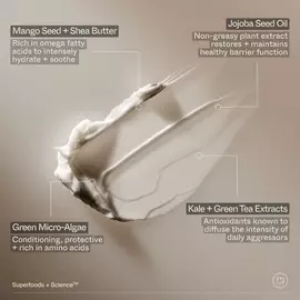 Superfood Hand + Body Lotion with Plant Butters