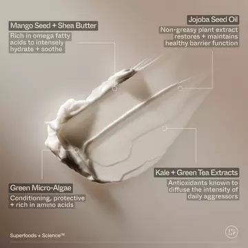 Superfood Hand + Body Lotion with Plant Butters