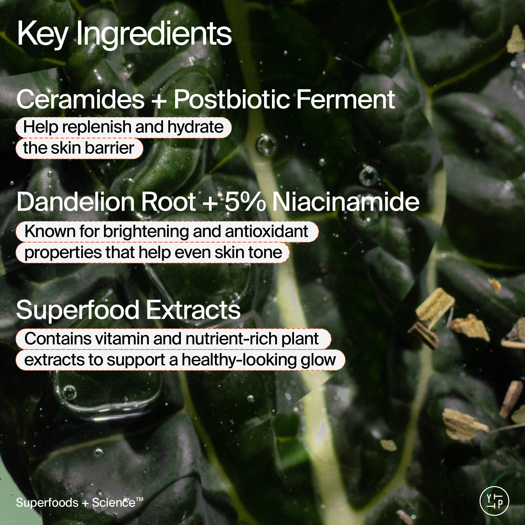 Superfood Skin Drip Smooth + Glow Barrier Serum