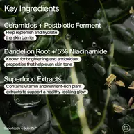 Superfood Skin Drip Smooth + Glow Barrier Serum