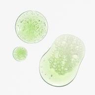 Youth Stacks: Daily Skin Health