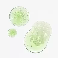 Youth Stacks: Daily Skin Health
