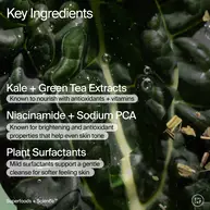 Superfood + Niacinamide Body Cleanser