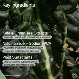 Superfood + Niacinamide Body Cleanser