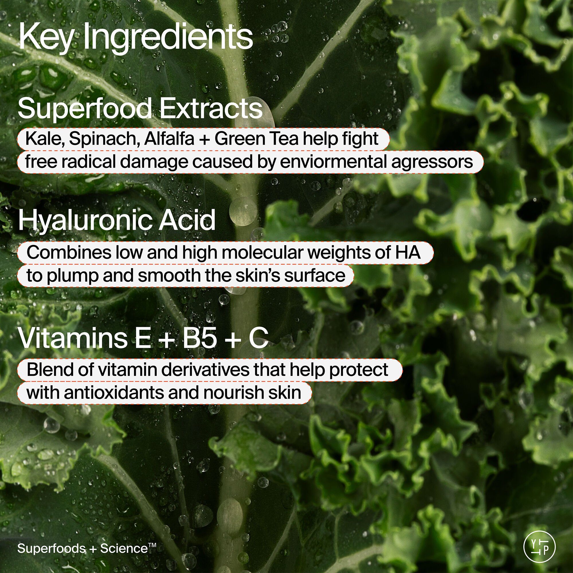 Superfood Air-Whip Moisture Cream Jumbo