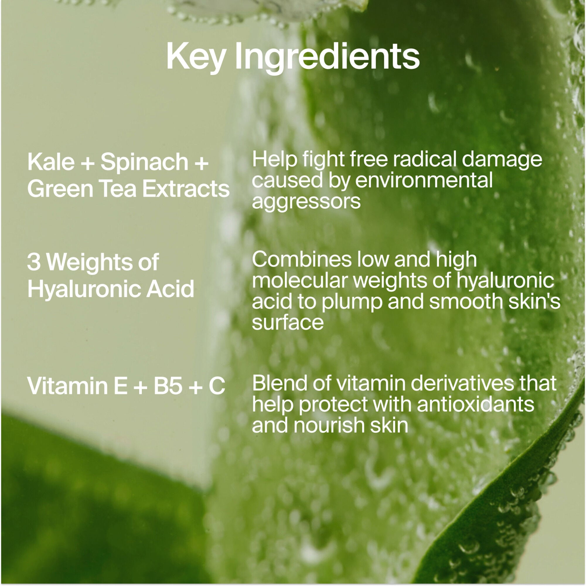 Superfood Air-Whip Moisture Cream