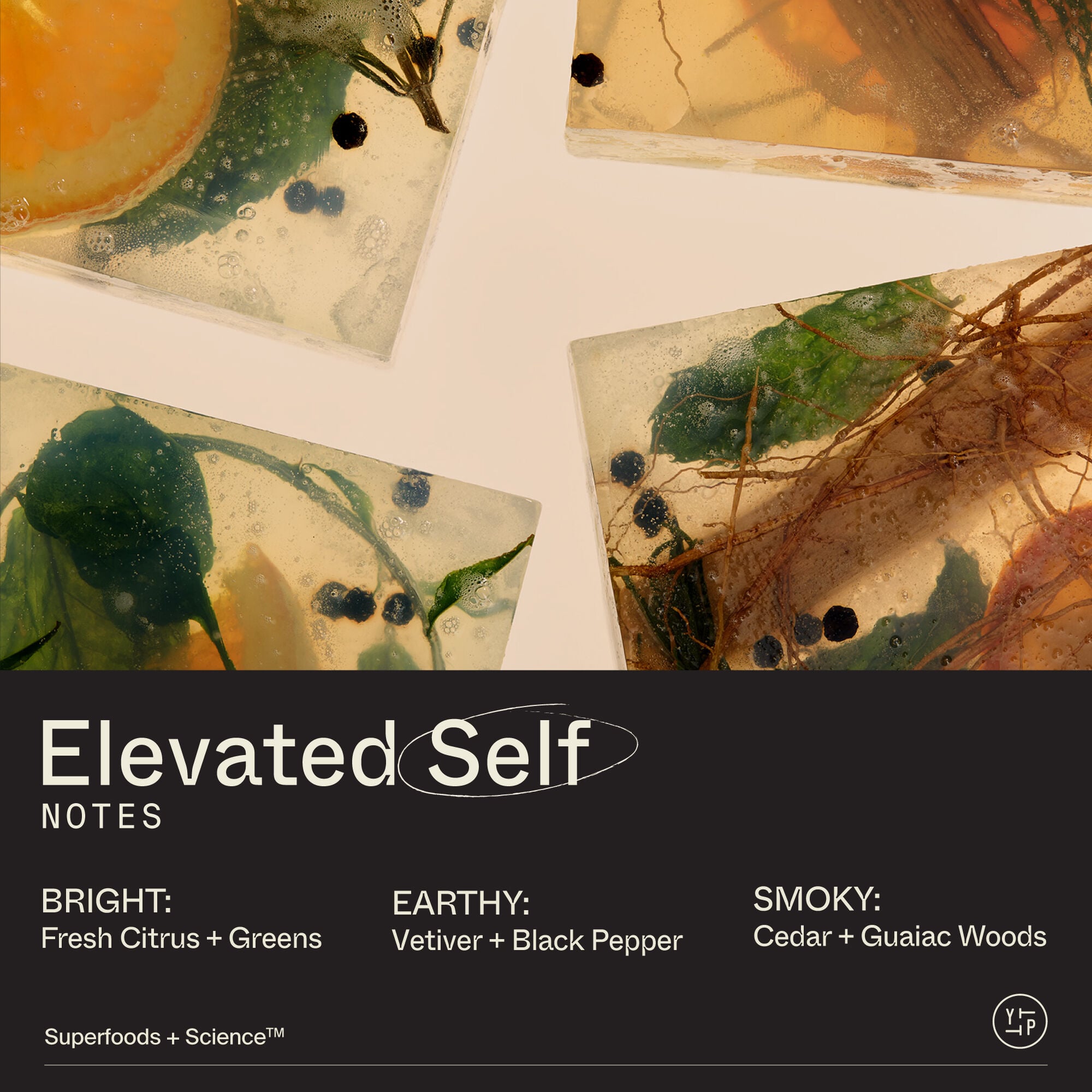 Superfood Antioxidant Hand Wash