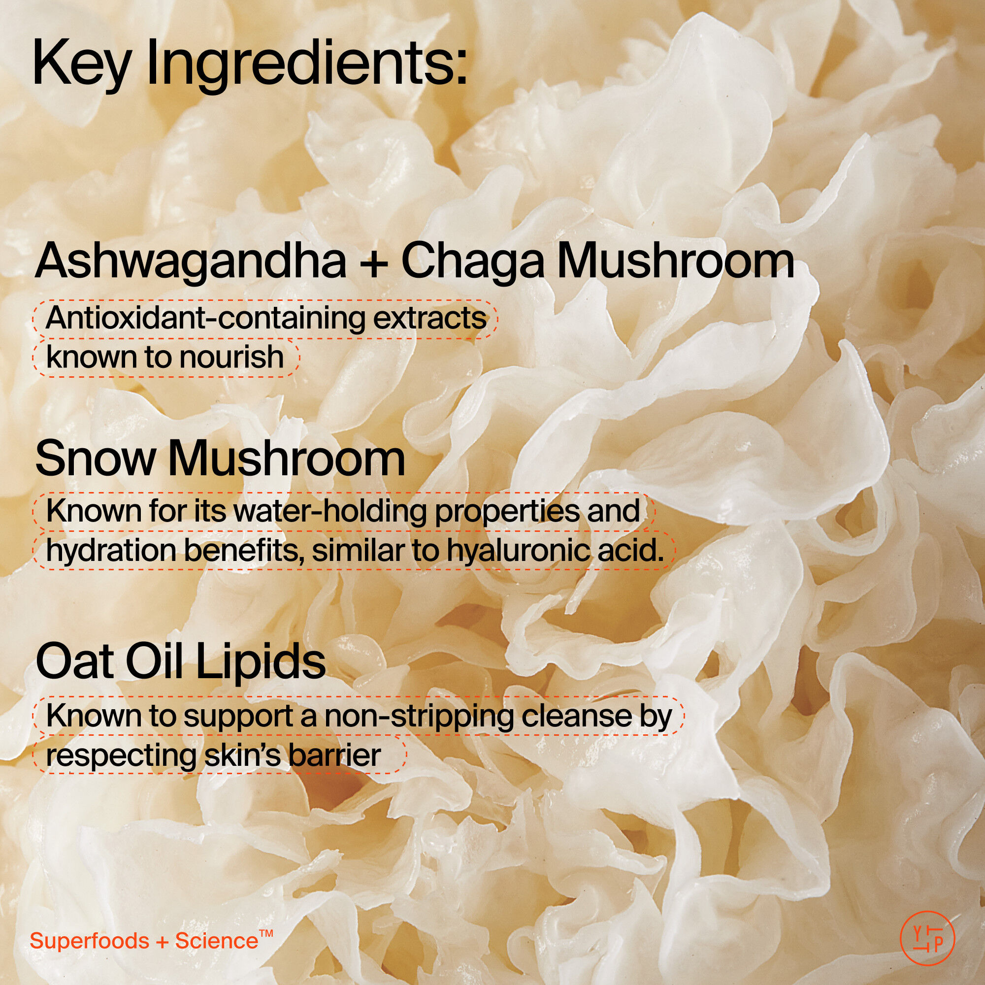 Adaptogens + Snow Mushroom + Oat Oil Lipids + Vitamins Supershroom Calm Cleanser