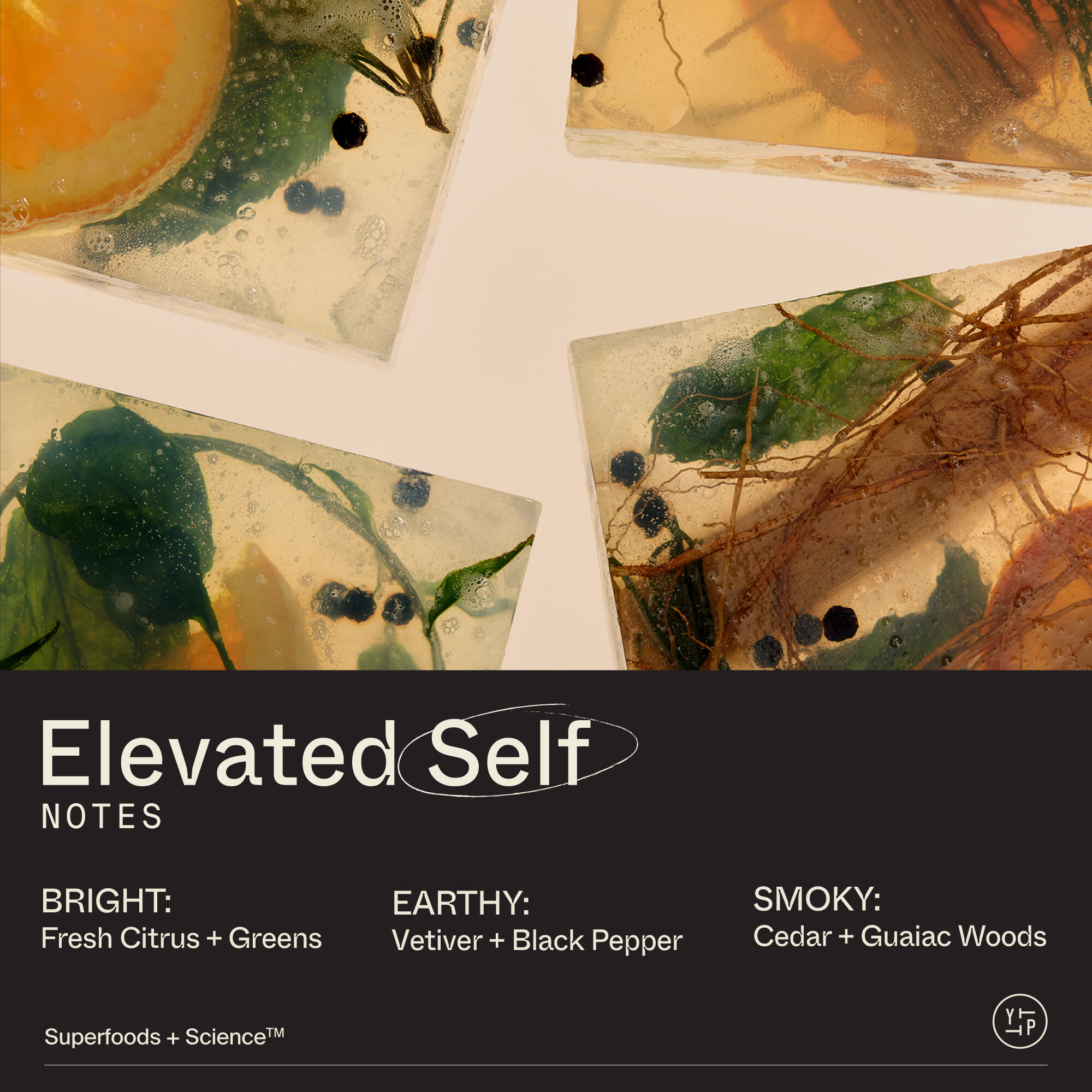 Hand + Body Care Duo