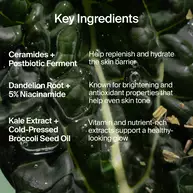 Superfood Skin Drip Smooth + Glow Barrier Serum