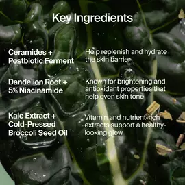 Superfood Skin Drip Smooth + Glow Barrier Serum