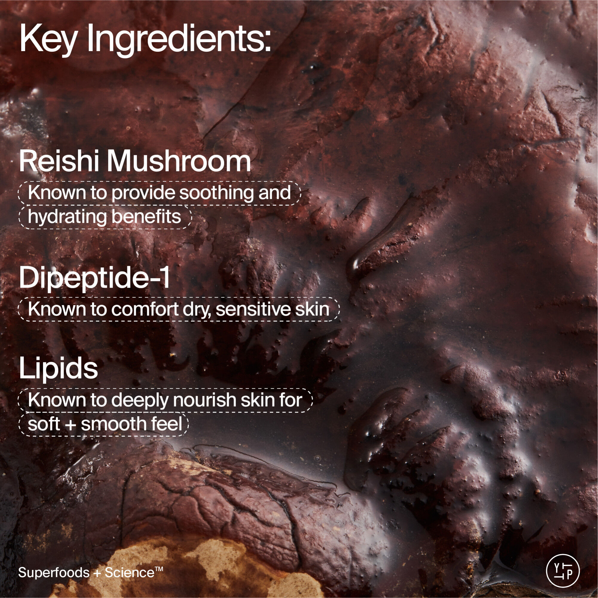 Adaptogen Skin Repairing Moisturizer with Peptides for Sensitive & Dry Skin