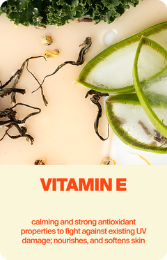 Superfood Daily Face Cleanser.  Gentle yet effective daily cleanser removing makeup + SPF