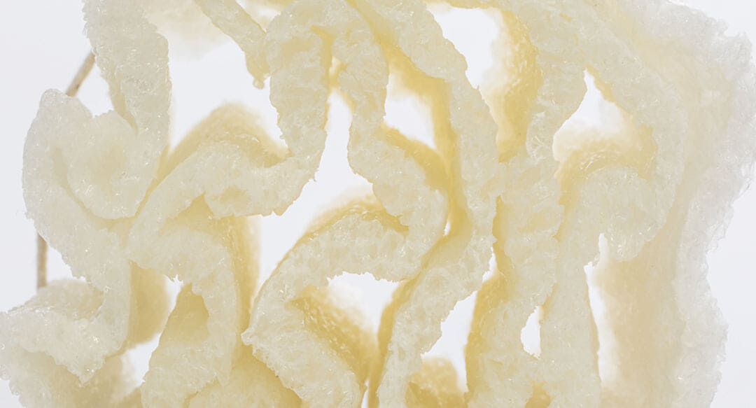 Green Cell Foam vs. Styrofoam What You Need to Know